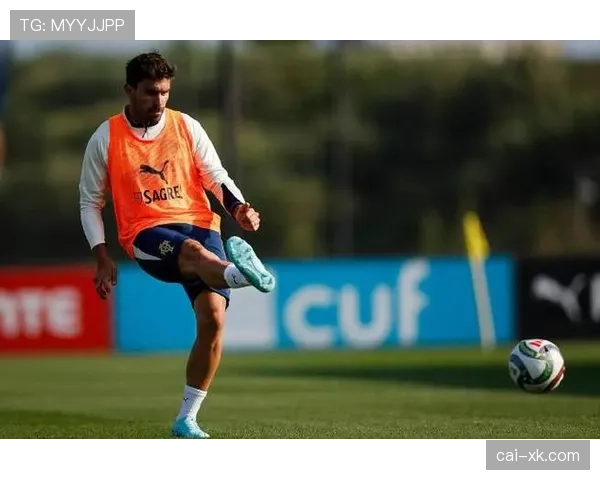 内维斯如何从青年队队长成长为成年国家队核心？